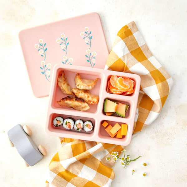 Safari Silicone Bento Box - The Mercantile at Mill + Grain