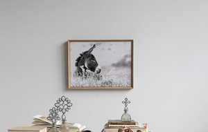 Baby Donkey Framed Canvas Wall Art