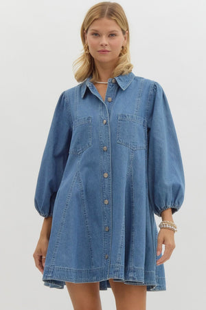 Dolly Denim Mini Dress