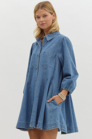 Dolly Denim Mini Dress